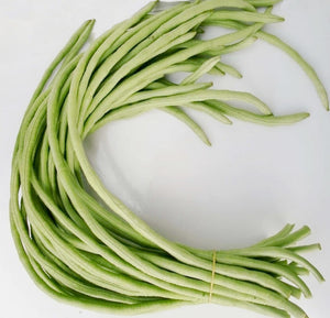 長豇豆種子