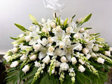 棺蓋花All in White Casket Flower