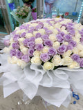 199枝白紫混色花束｜ 199 White and purple roses (Pre-Order)