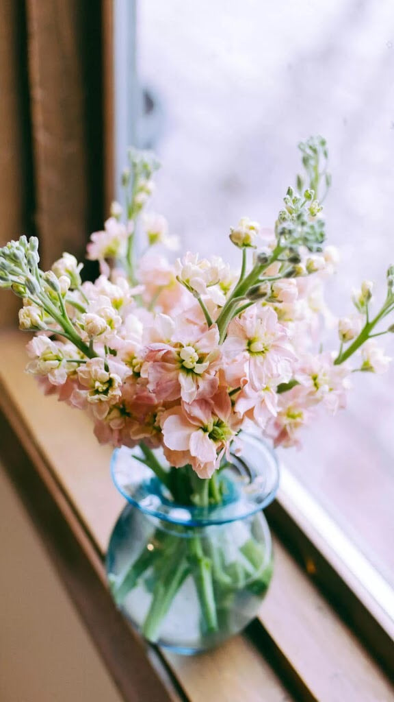 粉色小紫藤蘿花瓶| mini flower with a vase (Pre-order)